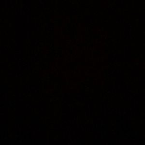 Meet your Posher, Sammy